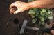 Інструмент для посадки цибулинних рослин Fiskars Ergo Фото 7 з 8